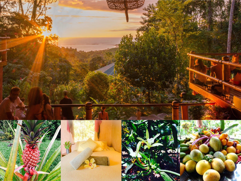 Costa Rica 7 Day Retreat 2026