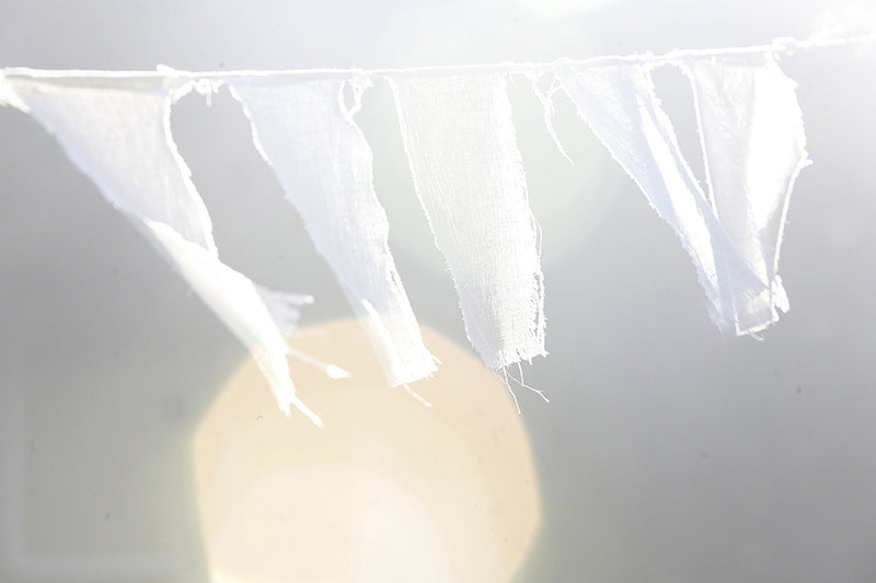 Rising Star Practitioner Initiation & Certification Training