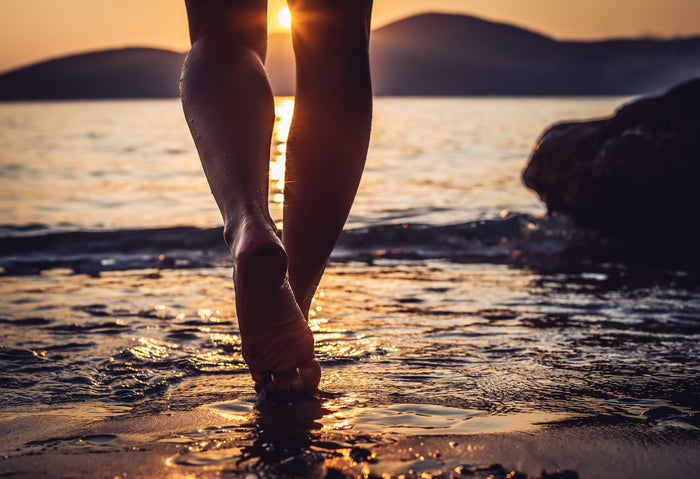 Winter Celebration Grounded With Colby