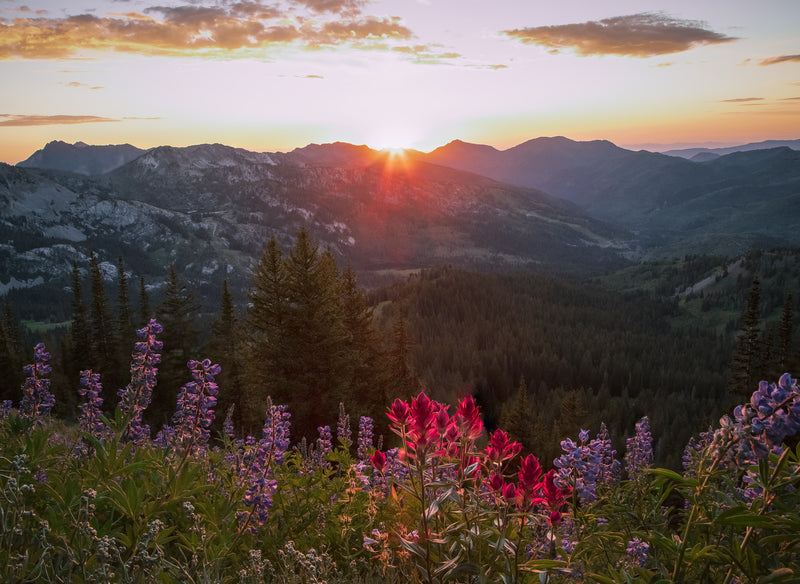 Autumnal Attunement Guided Meditation