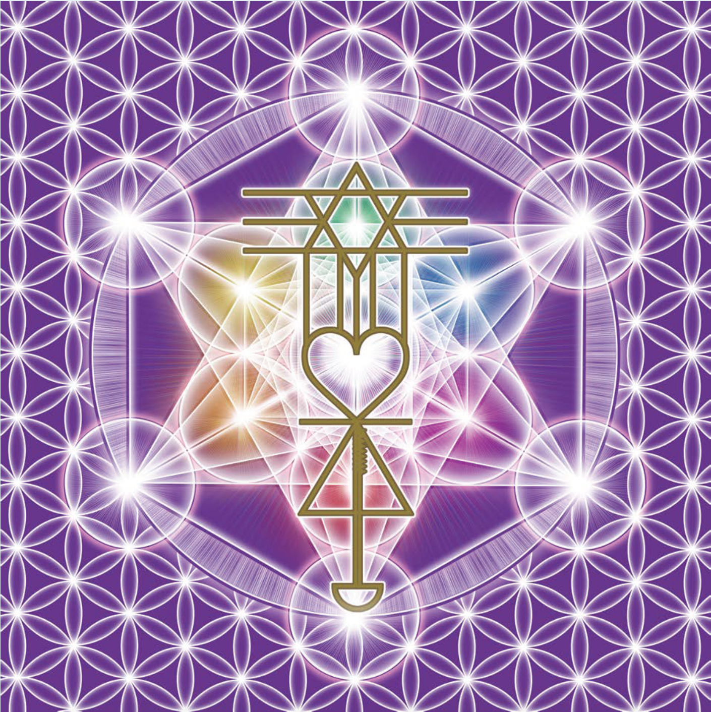 Rising Star Practitioner Initiation & Certification Training