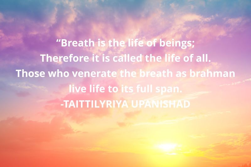 Purification 5 Elements 105 Day Group Meditation