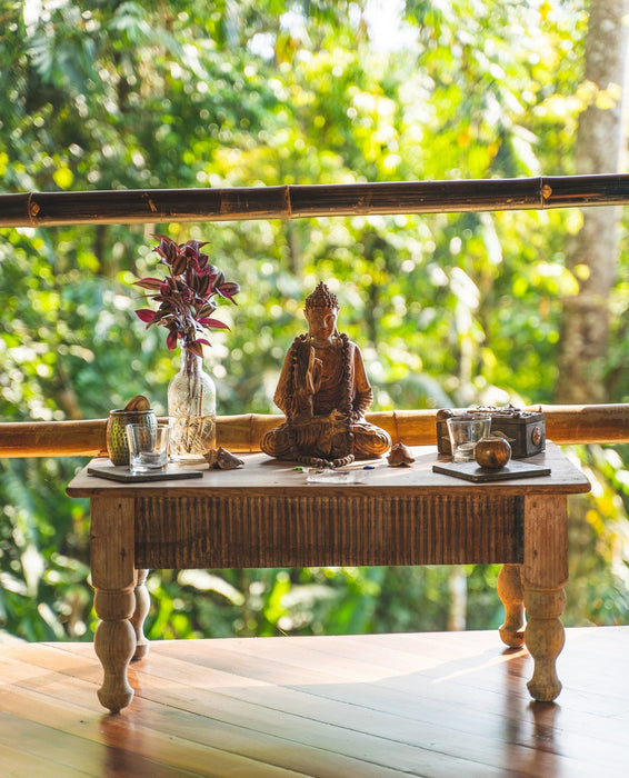 Costa Rica 7 Day Retreat 2026