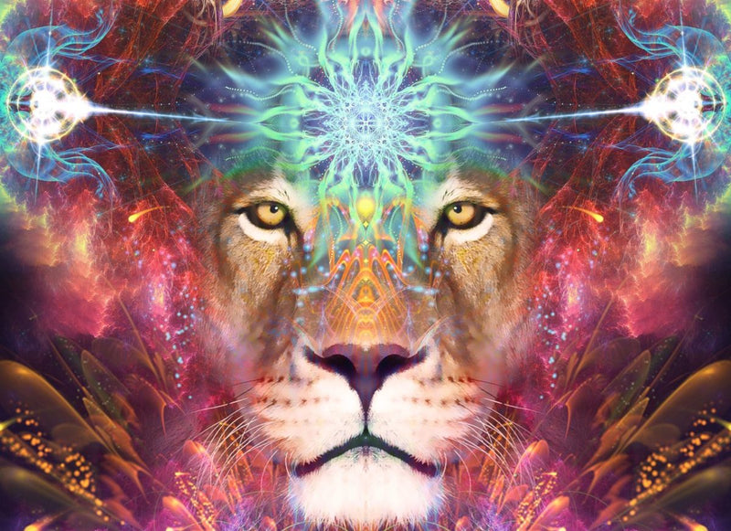 Championing Your Reality: A Lions Gate Event