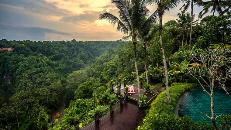 2025 Bali 10 Day Retreat - Remote Attendance