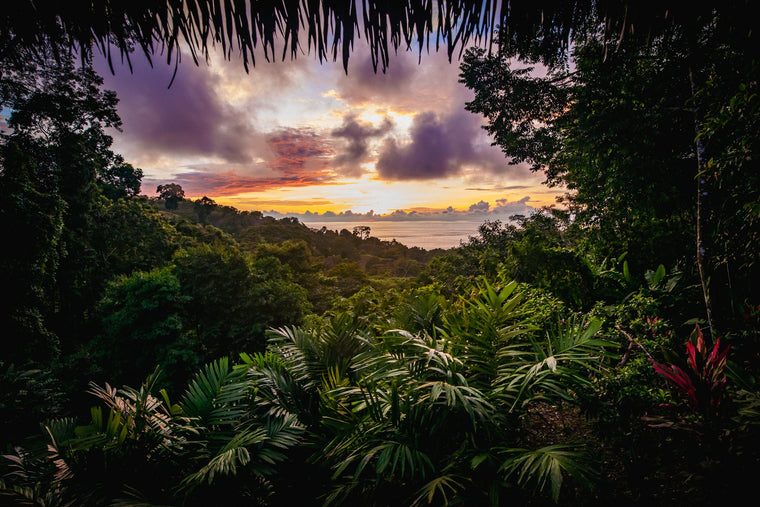 Costa Rica Retreat Remote Attendance