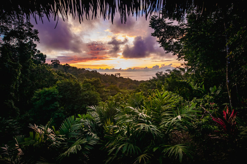 Costa Rica 7 Day Retreat 2025